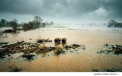 KHINZIR OH KHINZIR BANJIR OH BANJIR DI SELANGOR