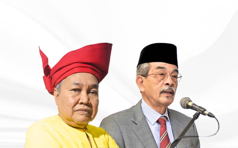 DESAK SERAH WARKAH KEPADA AGONG, RAJA-RAJA